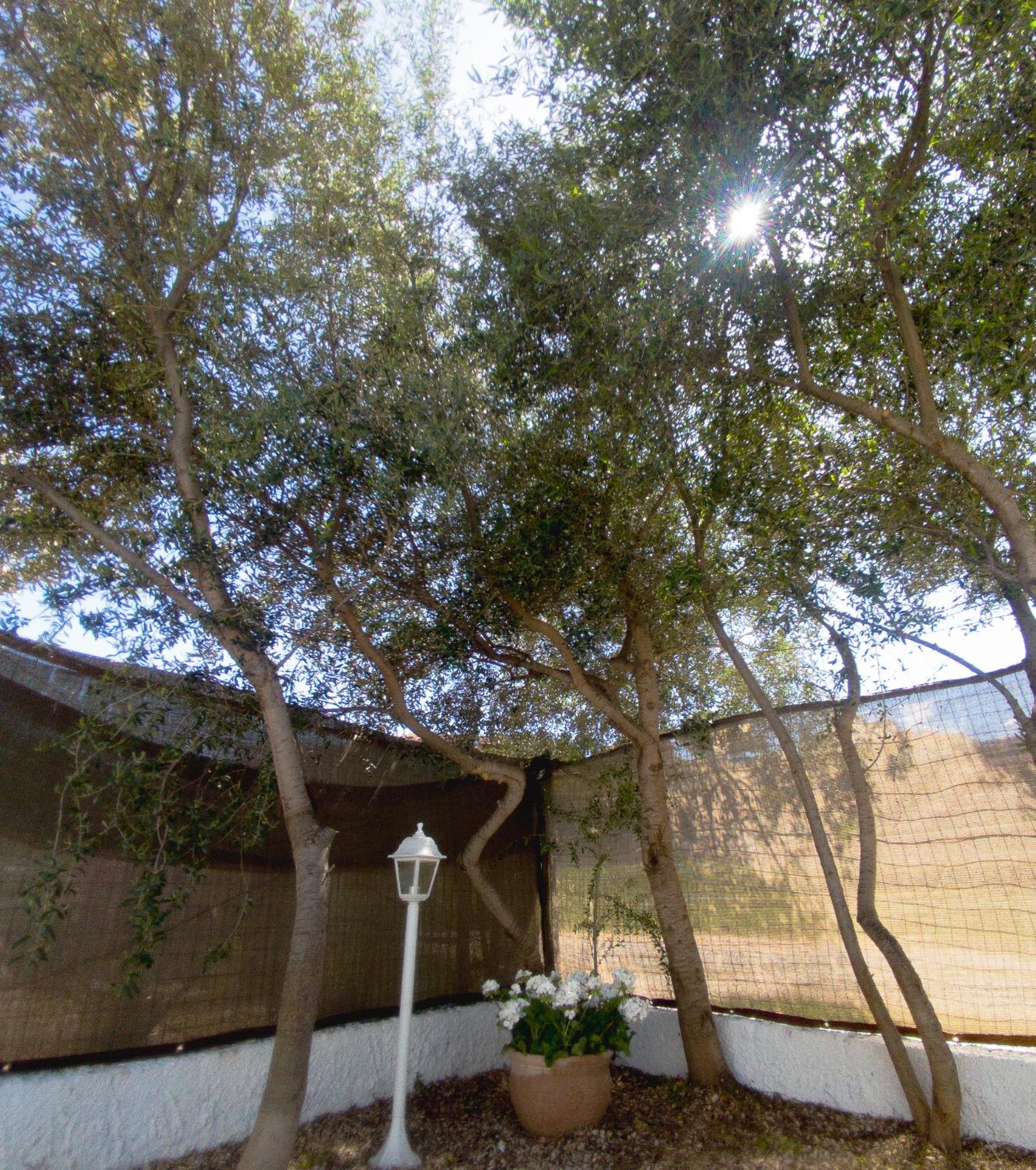 Dimora Mare San Teodoro (Sardinia) Exterior foto